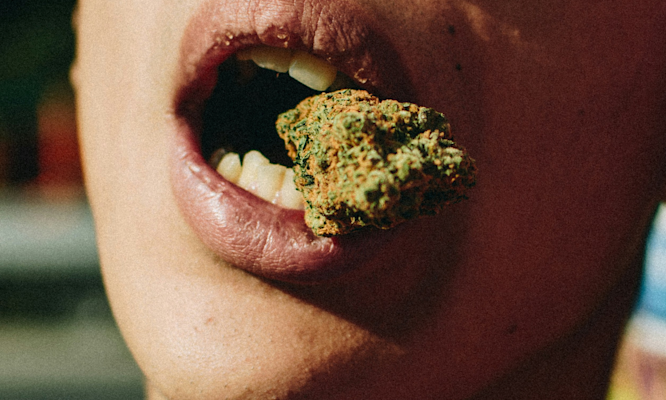 Why Your Edibles Aren't Working and How to Fix Them Fast