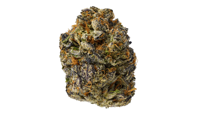 Gary Payton Strain: Complete Effects & Review Guide