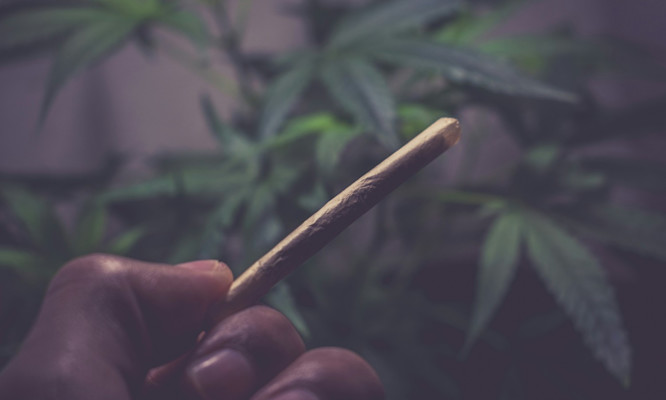 Manual vs Electric Joint Rolling Machines Head to Head Performance Test