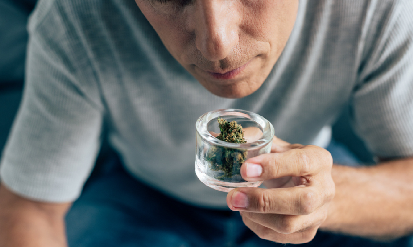 How to Tell if Weed Smells Good Plus Reading Cannabis Packaging