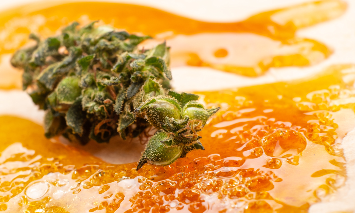 Choosing Quality Weed Concentrates - What to Look For