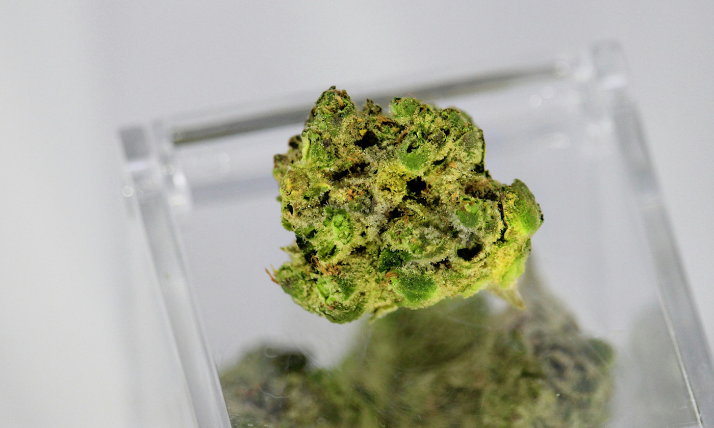 Cannabis Terpene Effects That Transform Your High