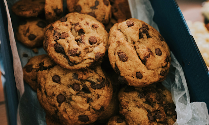 Types of Edibles: Everything You Need to Know Before Your First Purchase