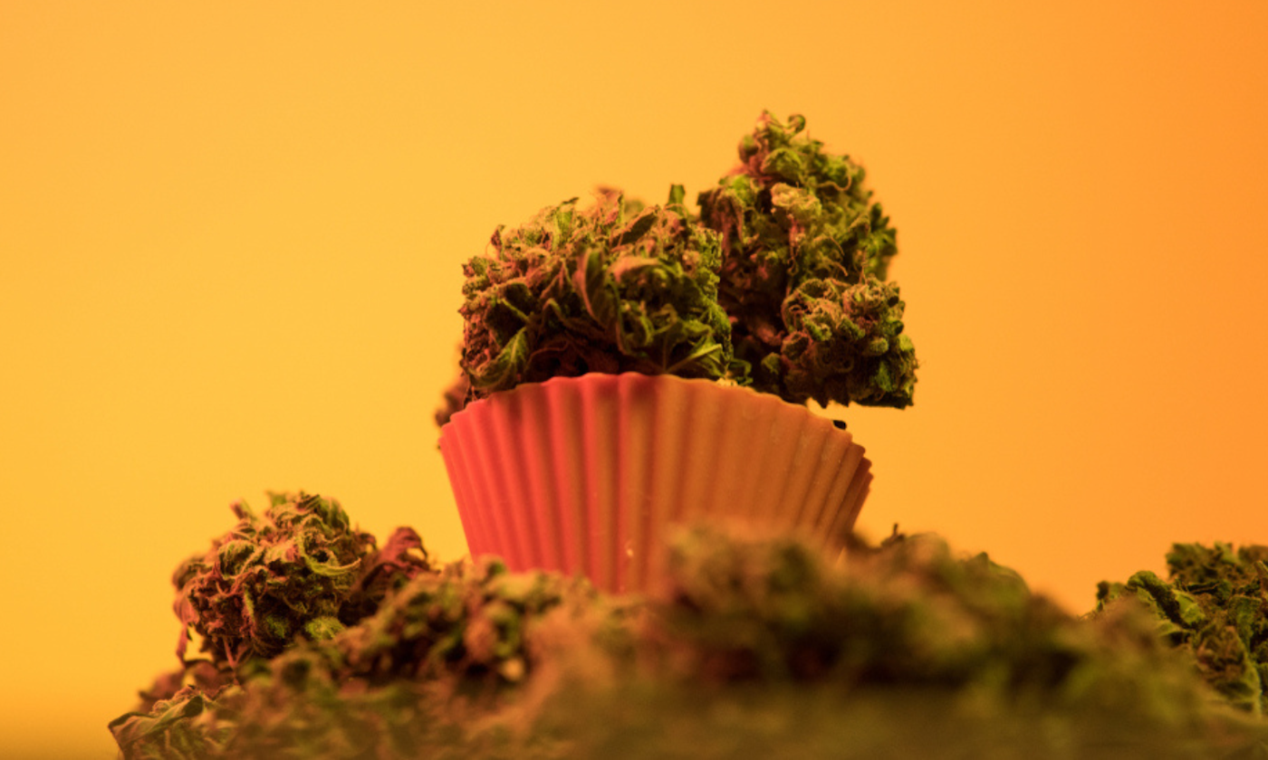 Types of Edibles: Everything You Need to Know Before Your First Purchase