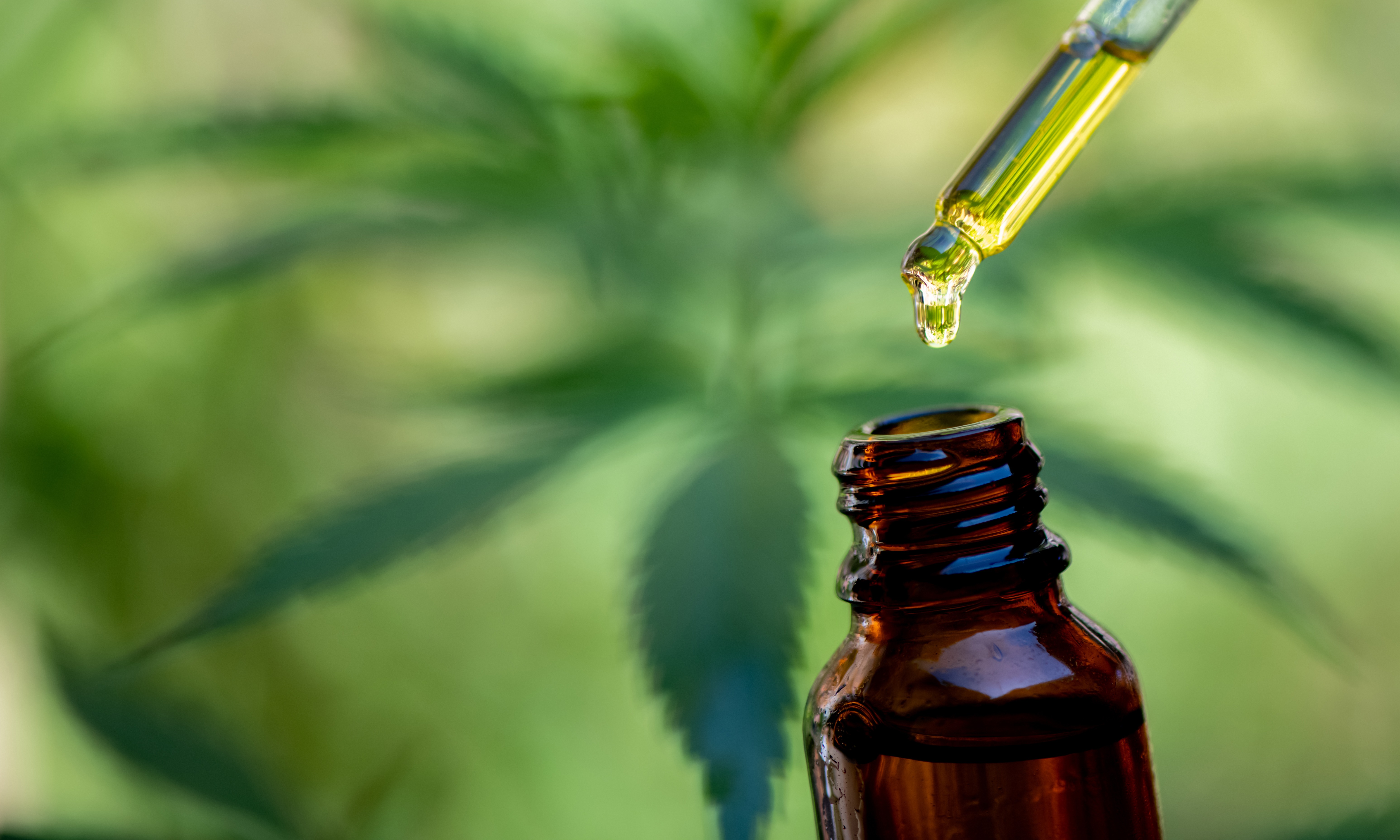 Does CBD Make You High? What To Know