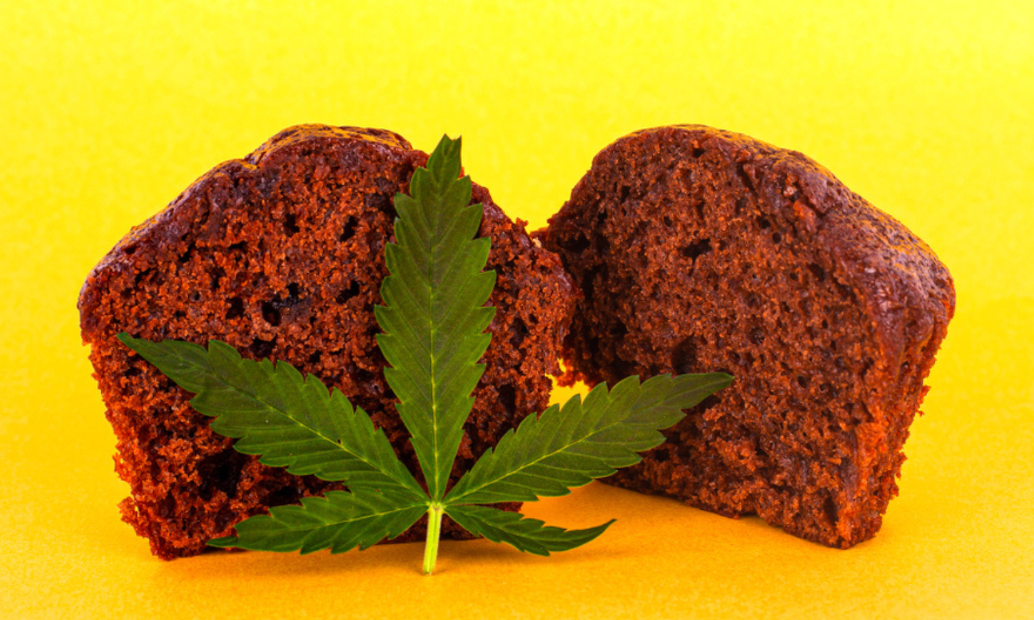 Cooking with Cannabis Safely From Start to Storage