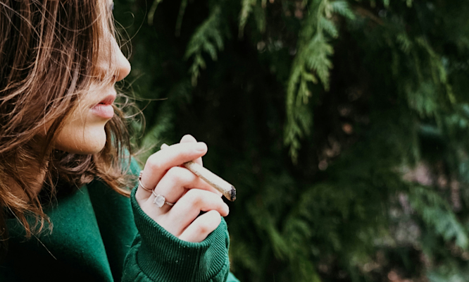 Why Your Cannabis Isn't Working and Which Strains Actually Will