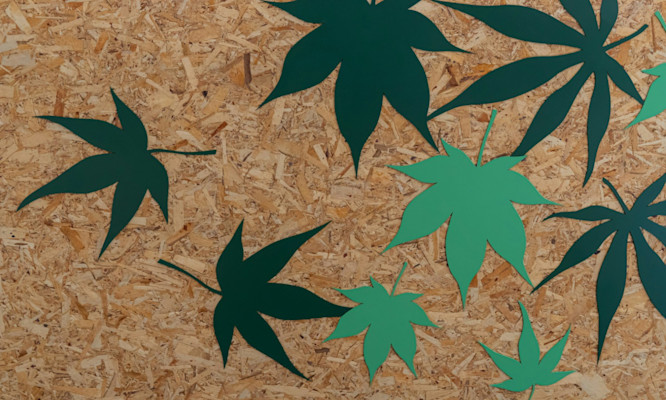 How to Book Cannabis Vacation Packages and Weed Friendly Resorts in 2025