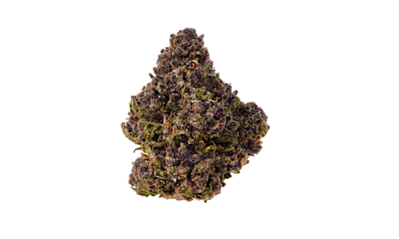 Experience the Unique Tropicana Cherry Cookies Strain