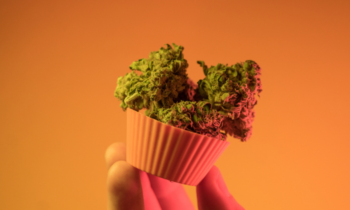 What Happens When You Eat Cannabis