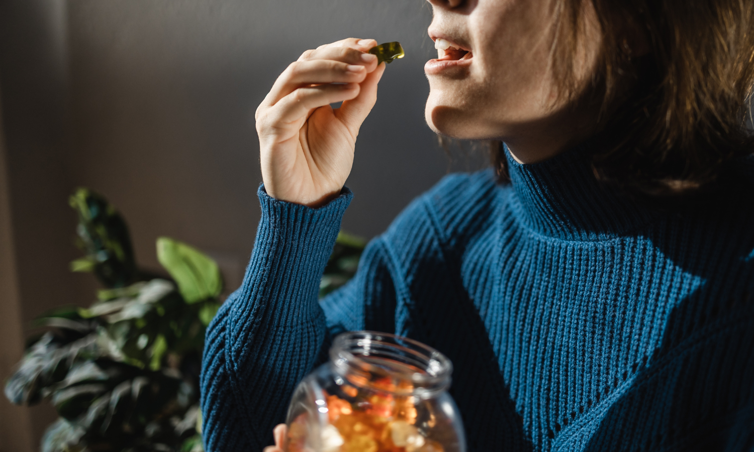 Why THC Gummies Go Bad Faster Than CBD and How to Store Them Right