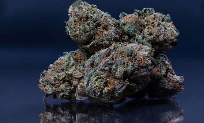 How Dark Rainbow Strain Compares to Popular Varieties