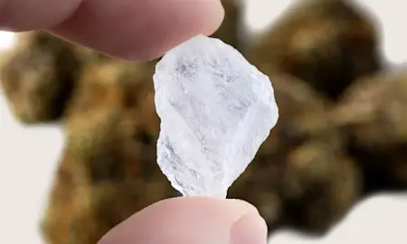 What’s the Difference Between THCa Diamonds and Live Resin?