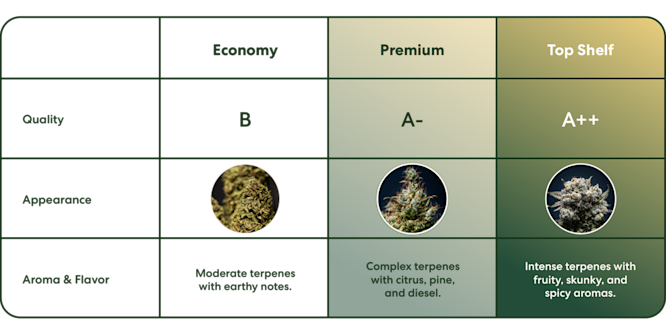 A Tour of Mood Flower: Economy, Premium & Top Shelf       