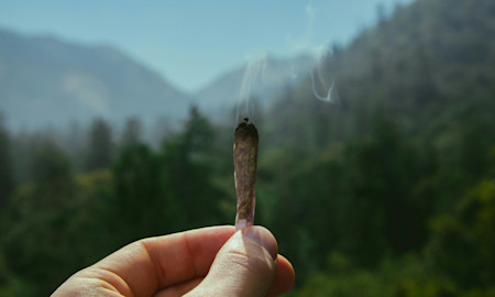 How to Roll a Blunt with Any Type of Wrap