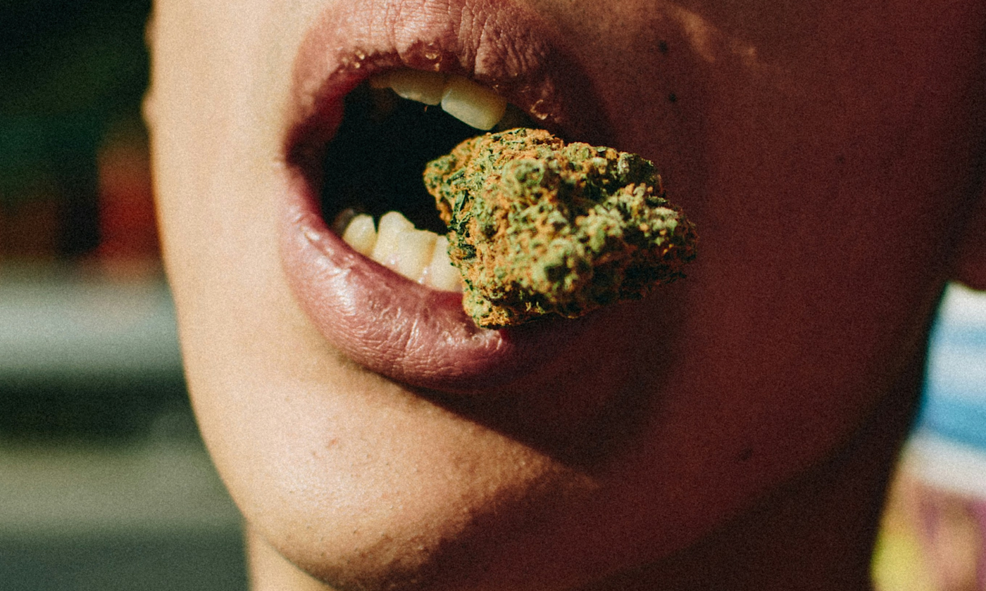 What Happens When You Eat Cannabis