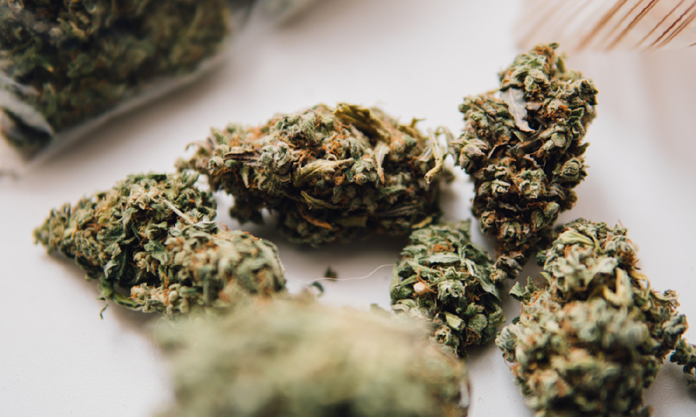 How CBGA Becomes THC and CBD Inside Cannabis Plants