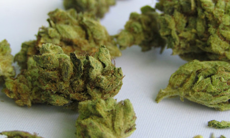 What Is a Bubbler? All About This Favorite Water Pipe