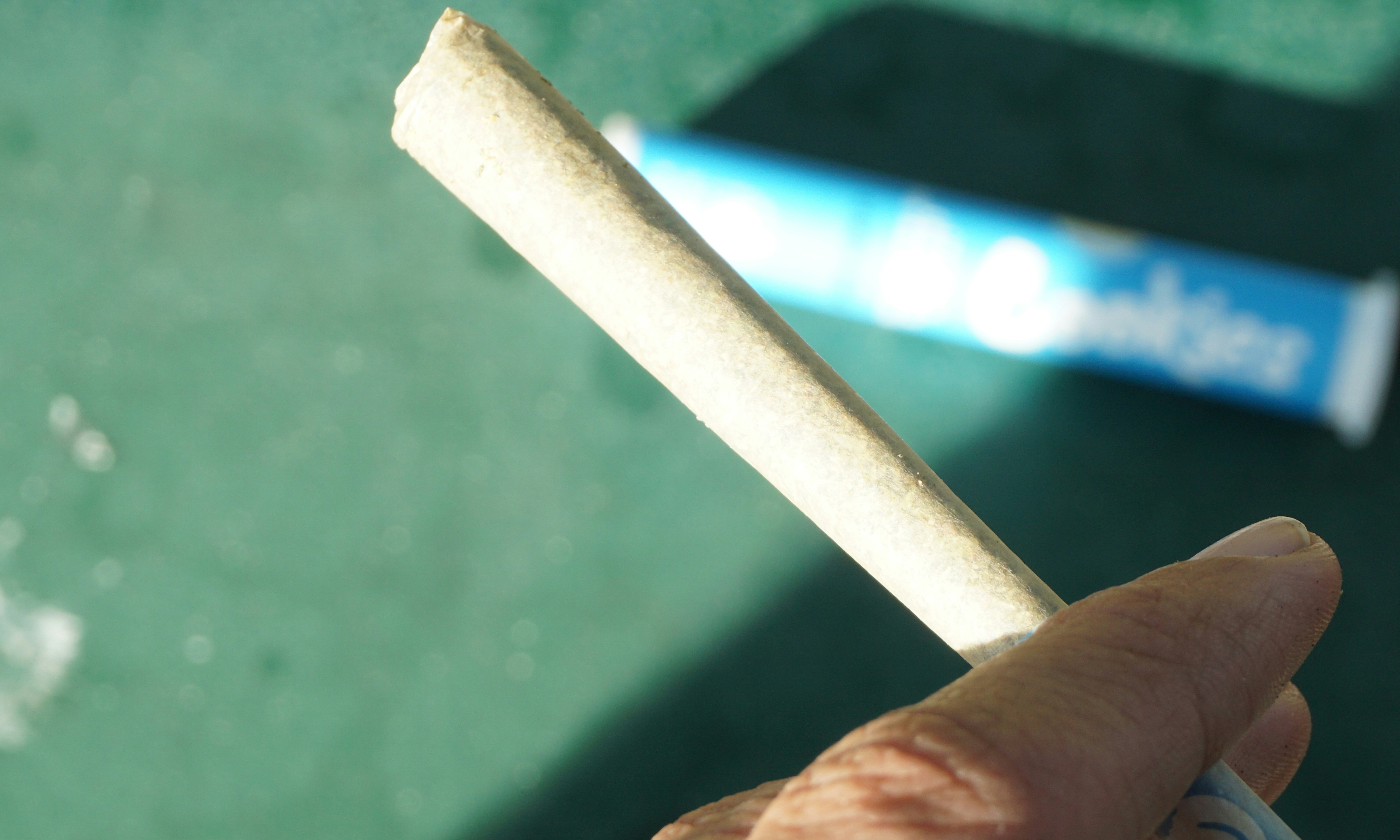 What Is a Spliff? Spliffs vs. Joints Explained