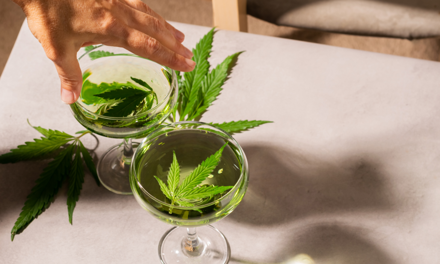 Everything You Need to Know About THC Drinks | Mood