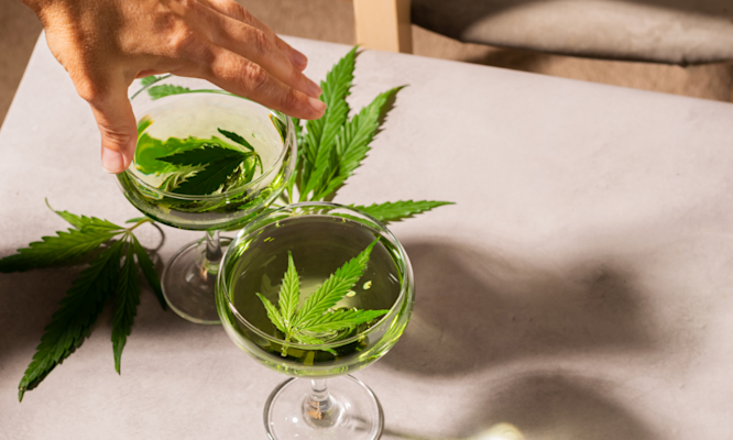 THC Drinks Explained: What They Are, How They Work, and What to Expect