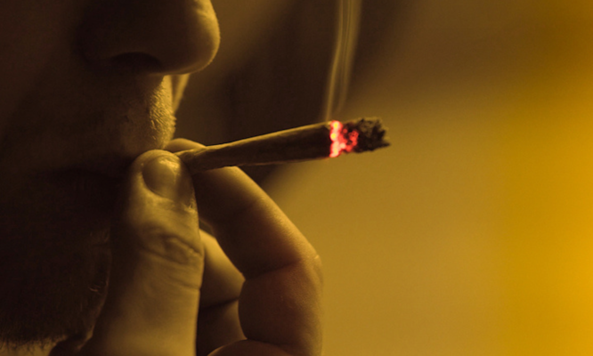 How to Roll a Joint Step by Step Plus Fix Common Problems