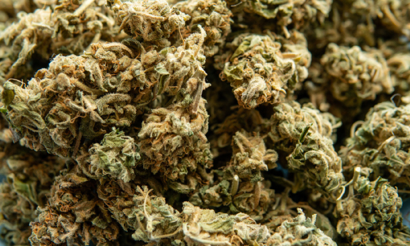 Quarter Pound vs 4 Ounces of Weed: Complete Price Breakdown and Savings Math