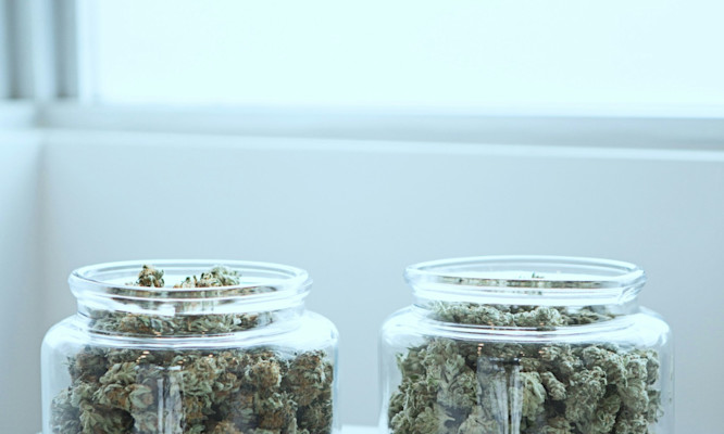 How To Read Cannabis Labels For Hidden Gluten And Certifications Seals