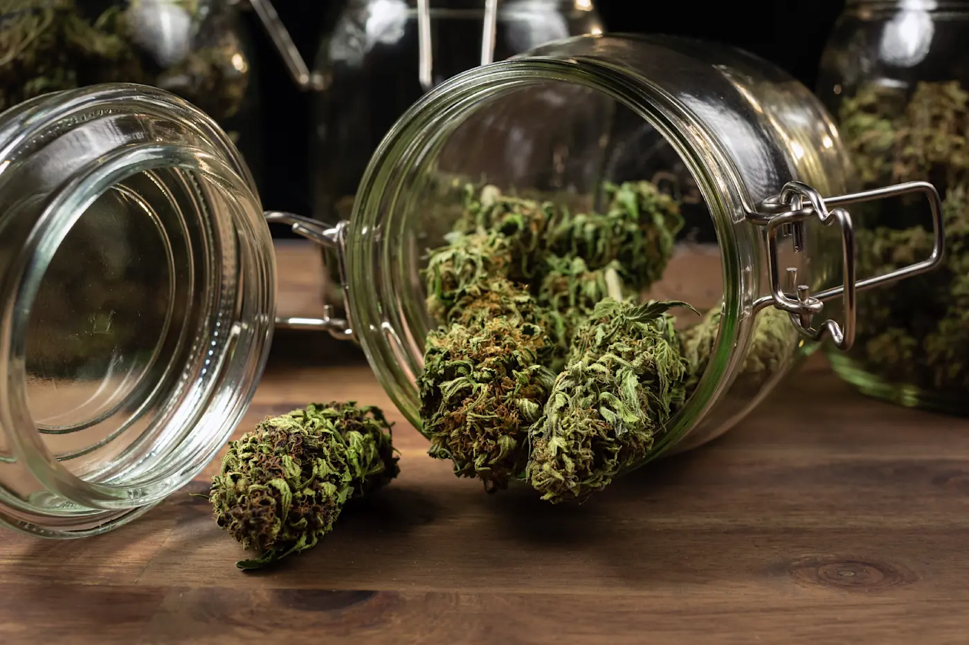 Complete Cannabis Post-Harvest Guide to Cutting, Trimming, Drying, and Curing