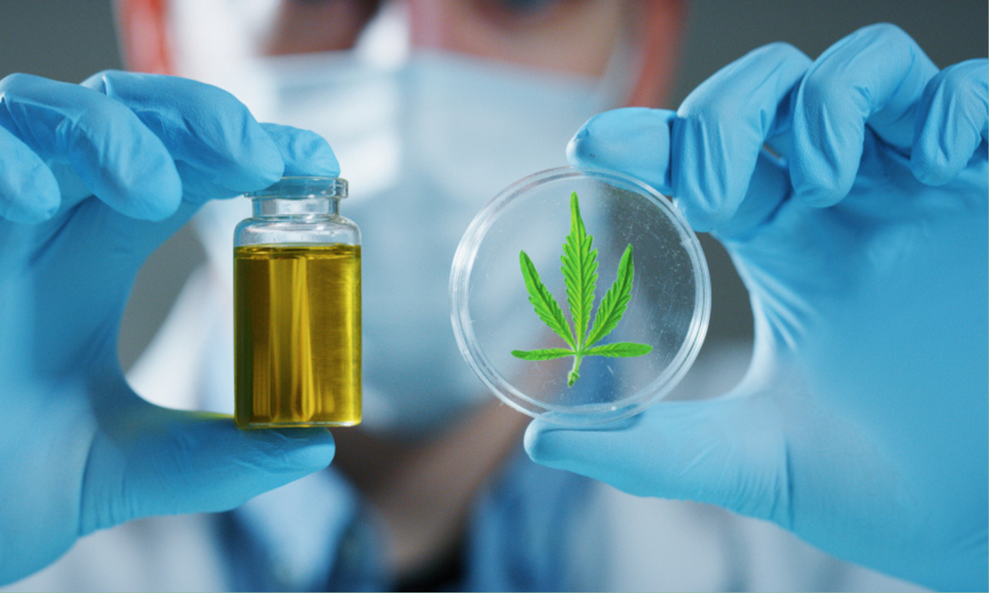 Does THCA Show Up on a Drug Test? The Complete Scientific Breakdown