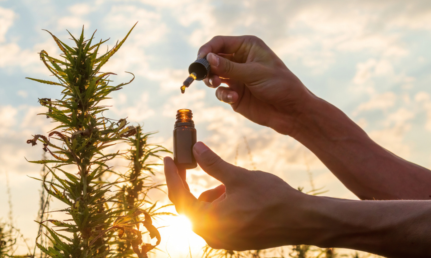The Ultimate Guide to THC CBD Balance and Mental Clarity