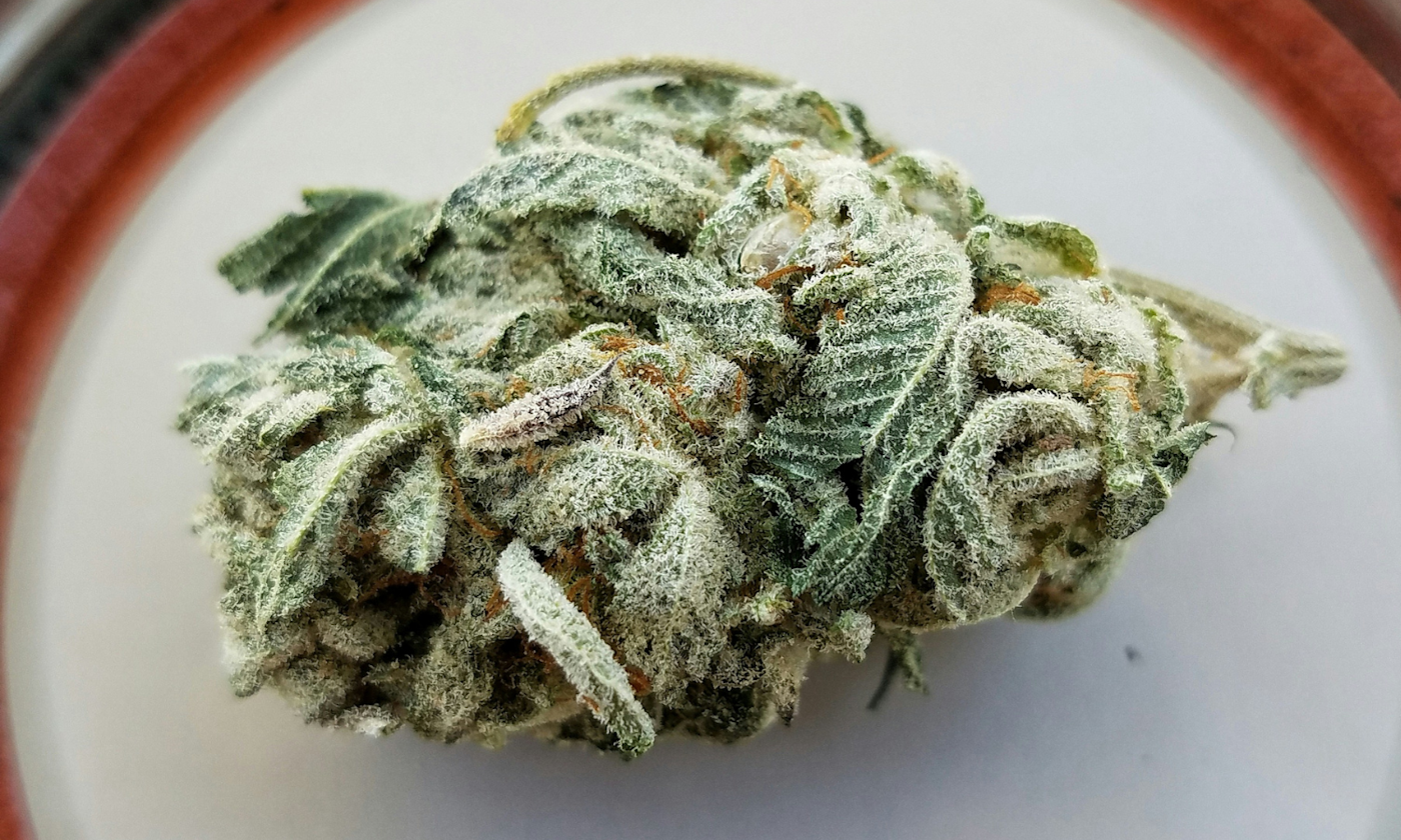 Why Weed Turns Brown and Whether Yours Is Still Worth Using