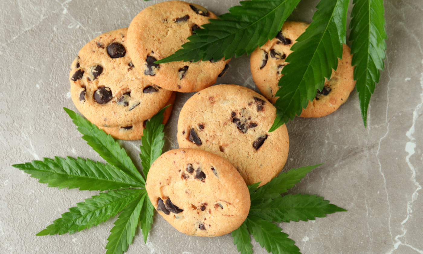 Sativa vs Indica Edibles: Which Type Matches Your Needs