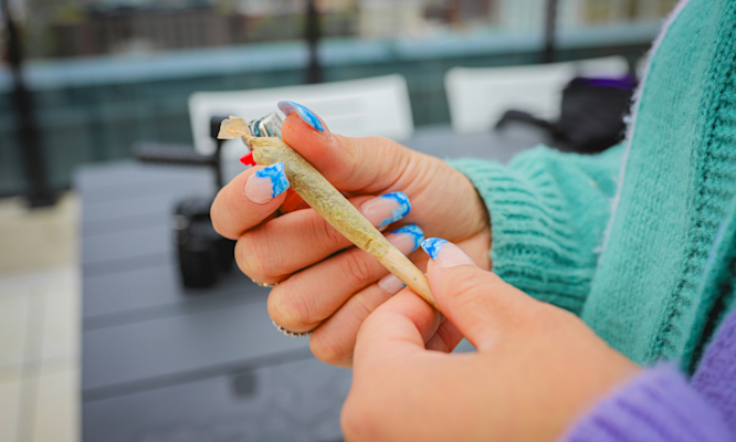How Much Are Pre-Rolled Blunts?