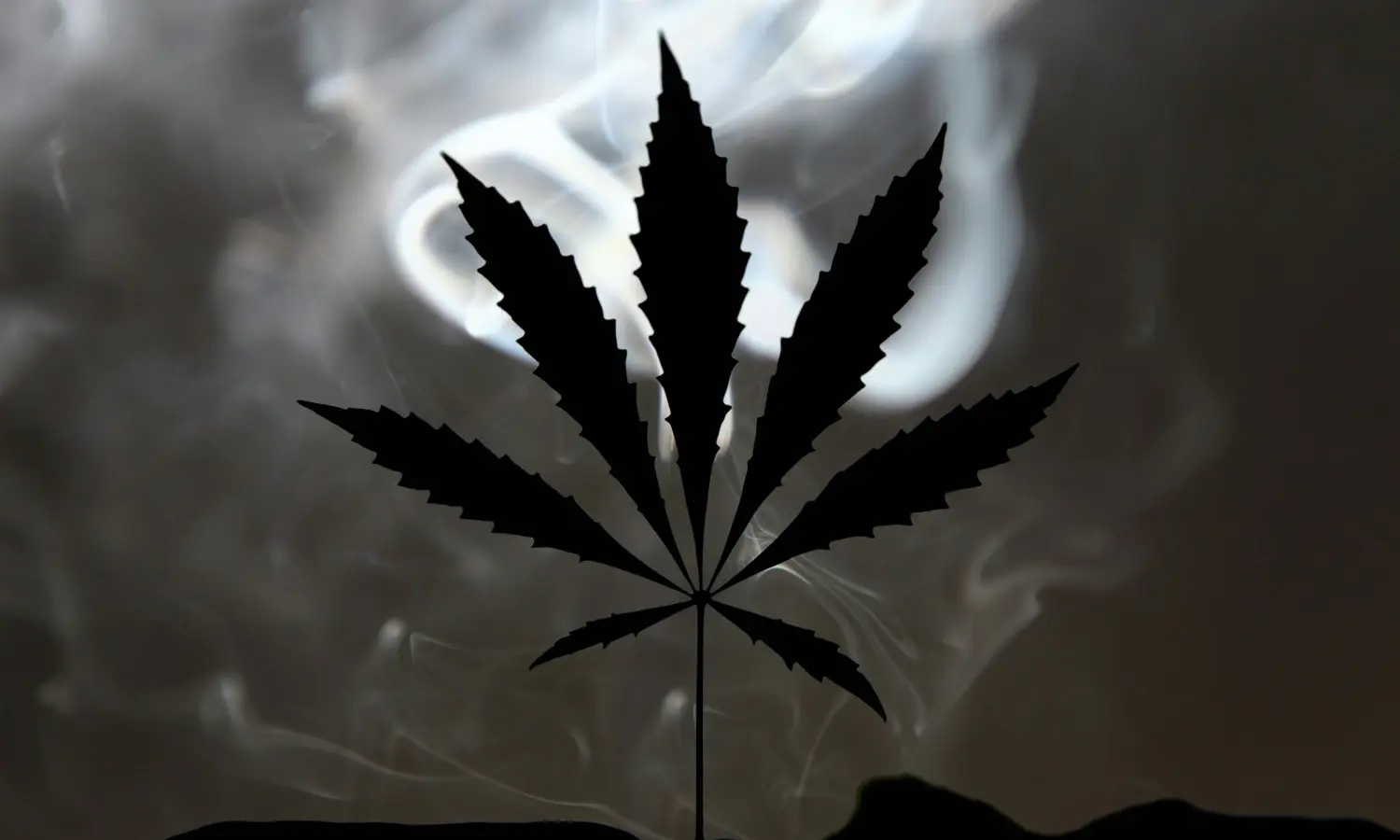 Complete Cannabis Nutrient Burn Guide from Yellow Tips to Recovery