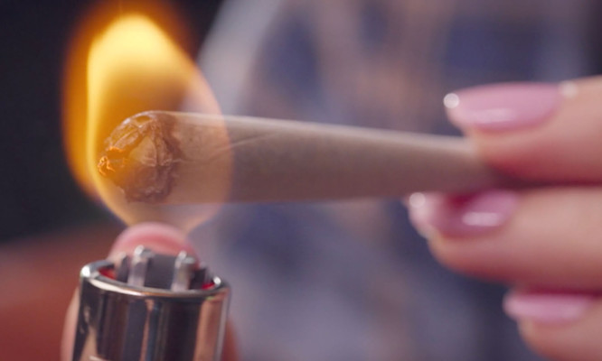 What Happens When You Burn Cannabis?