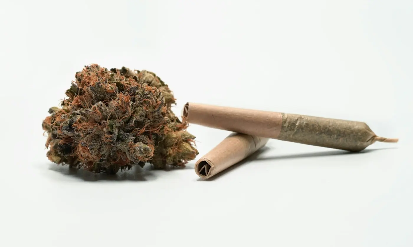 The Complete Half Ounce Weed Resource: 14 Grams Explained