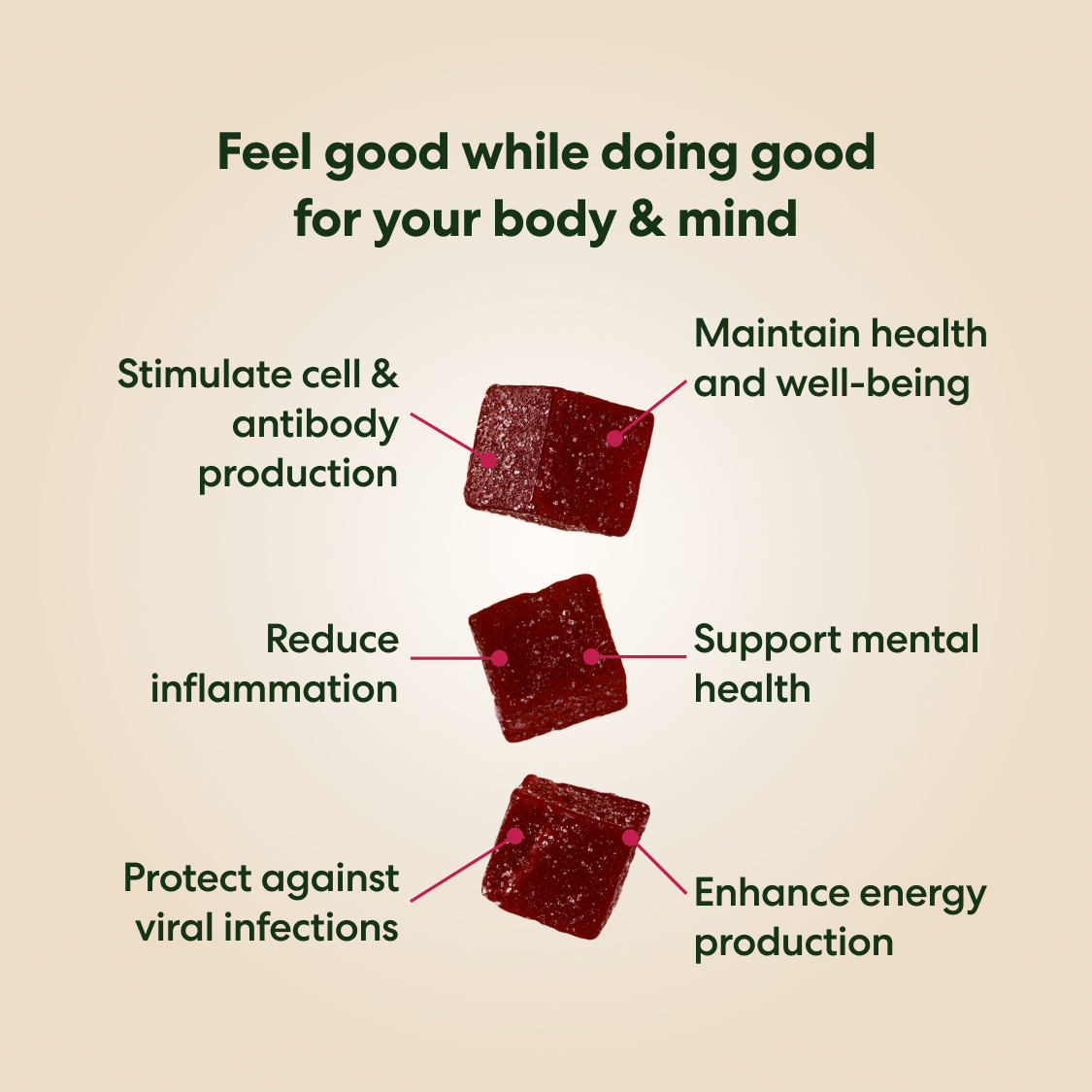 Immune Support Gummies