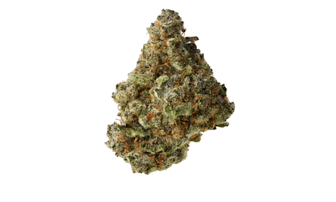 Super Buff Cherry Strain Compared to Popular Hybrids