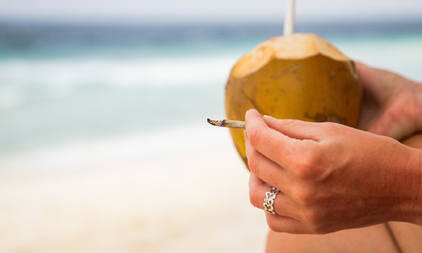 The Real Reason Weed Makes You Hungry Plus Proven Control Methods