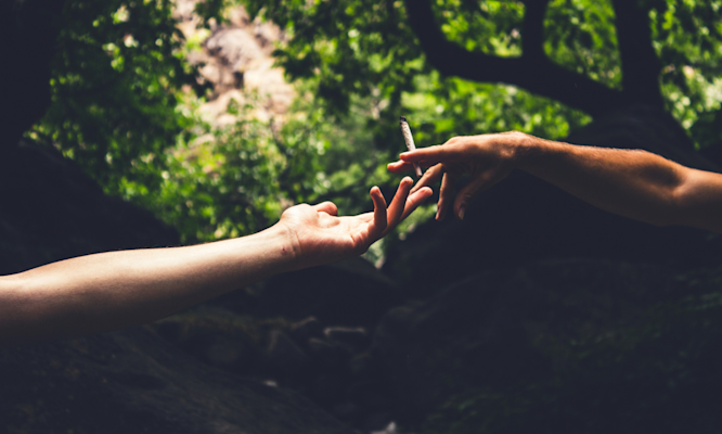 Why THCA Doesn't Get You High Until It Turns Into THC