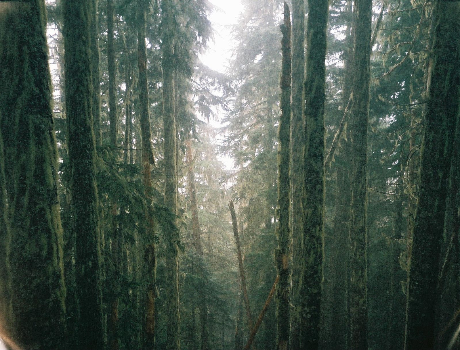 An image that was taken on a olympus camera