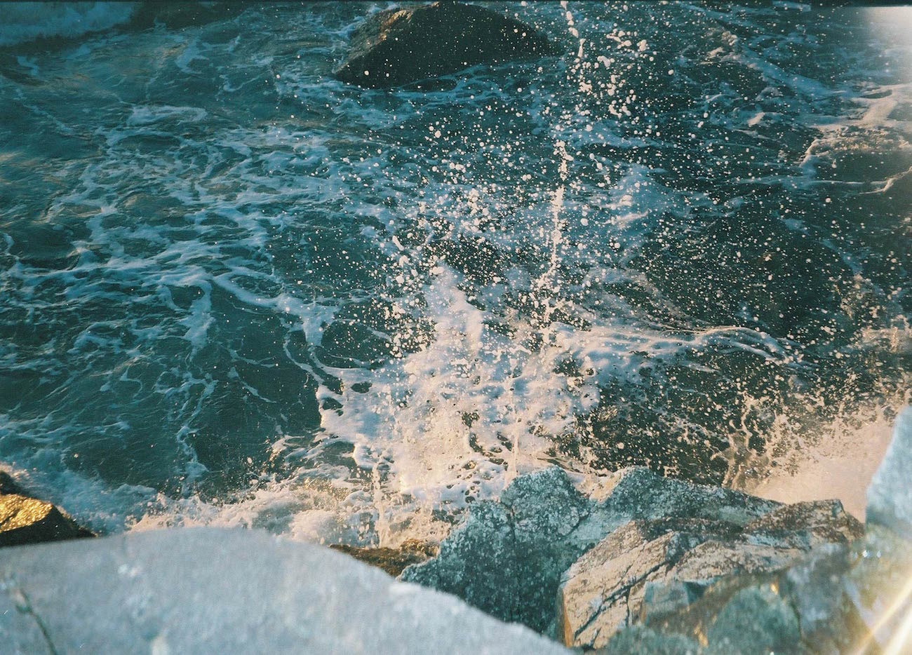 An image that was taken on a olympus camera