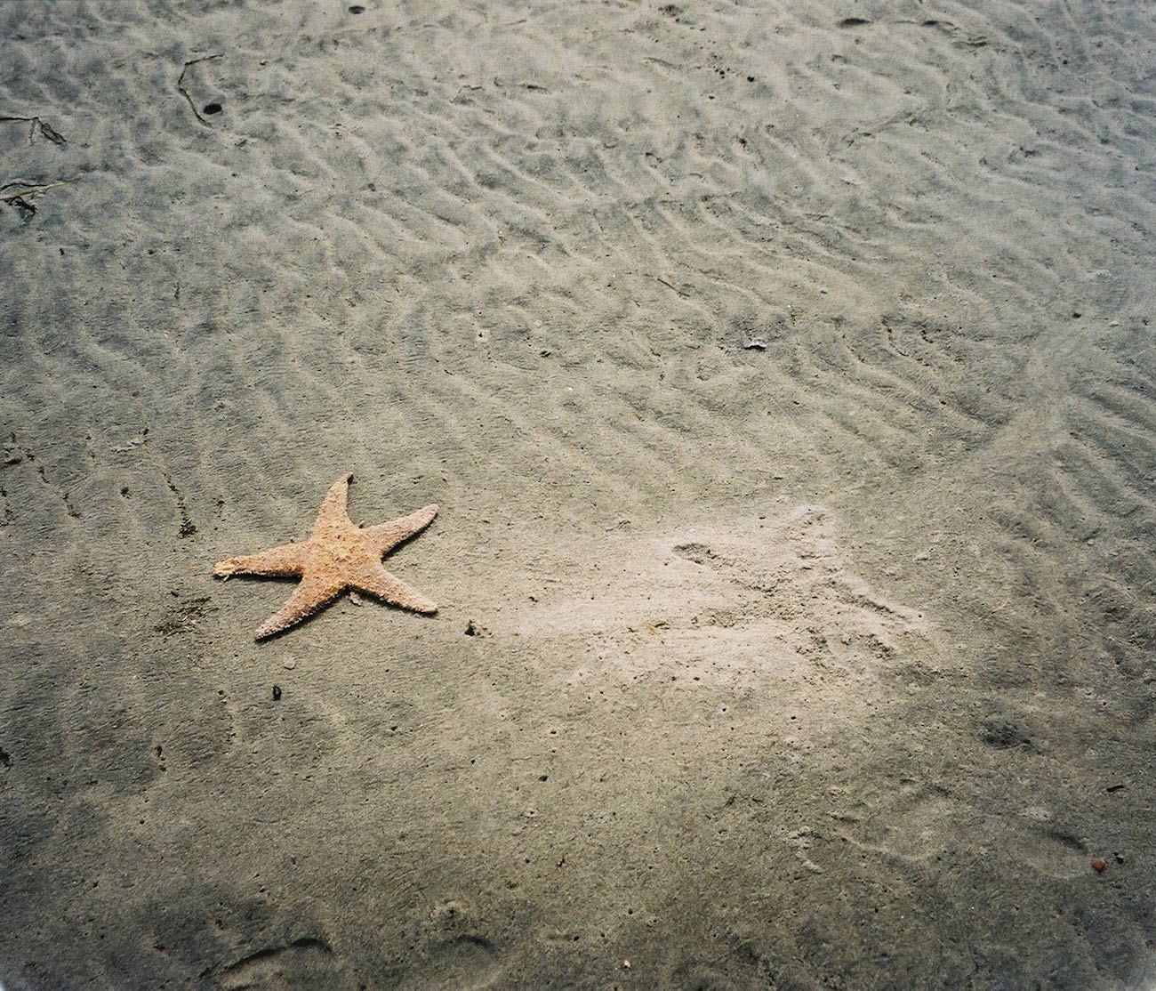 An image that was taken on a olympus camera