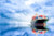 Trimble Precise Positioning charts a course for success