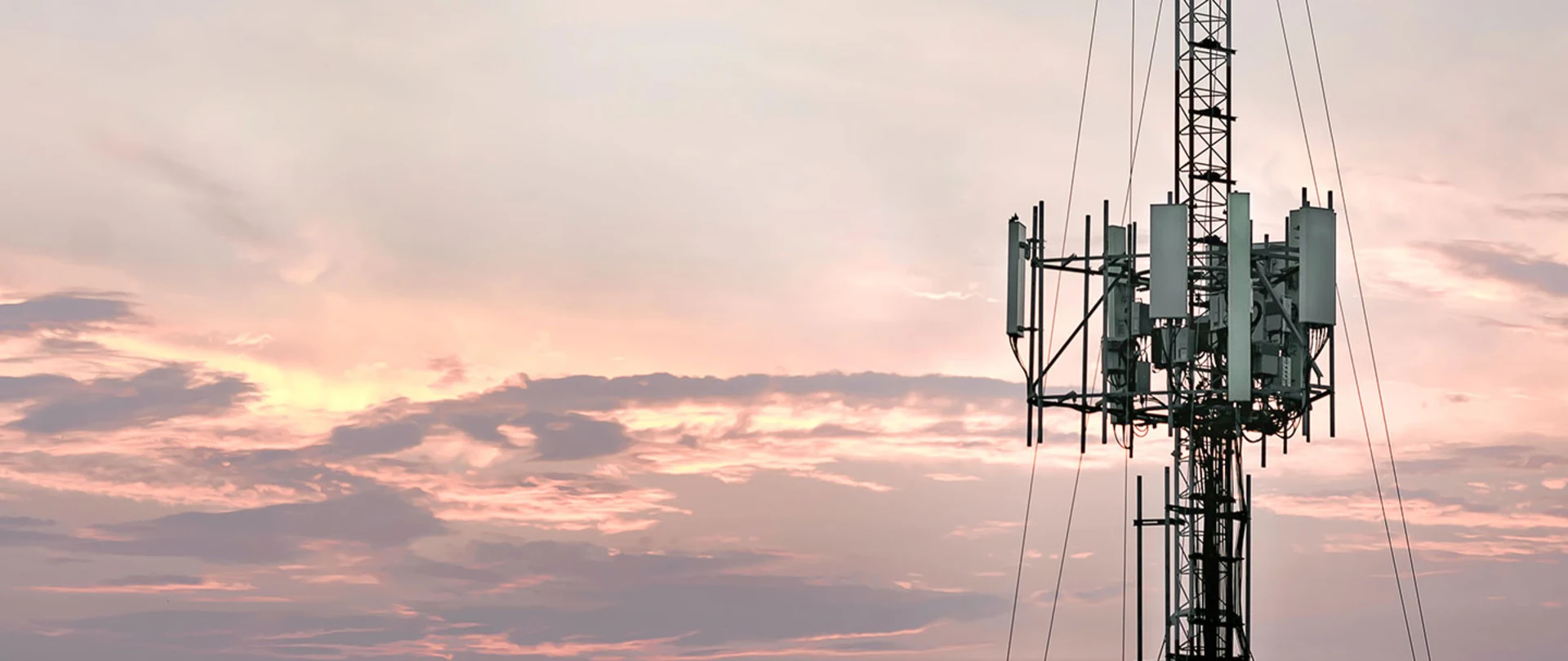 Cellular telecommunications tower