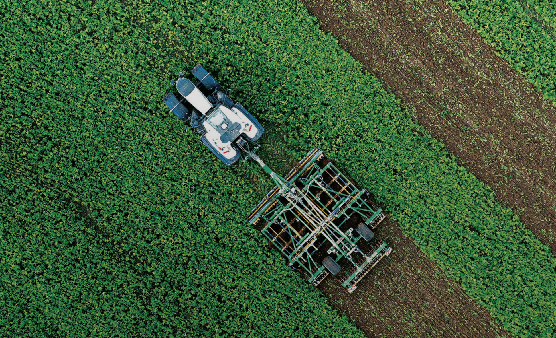 positioning-faq-agriculture faq-image