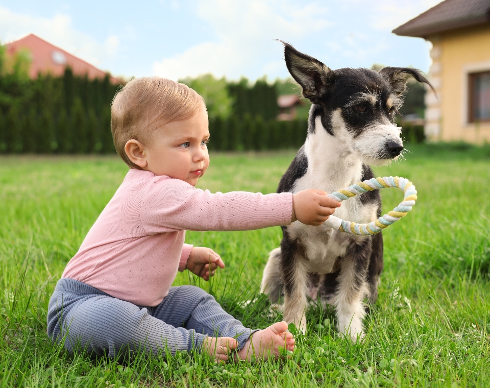 toddler-dog