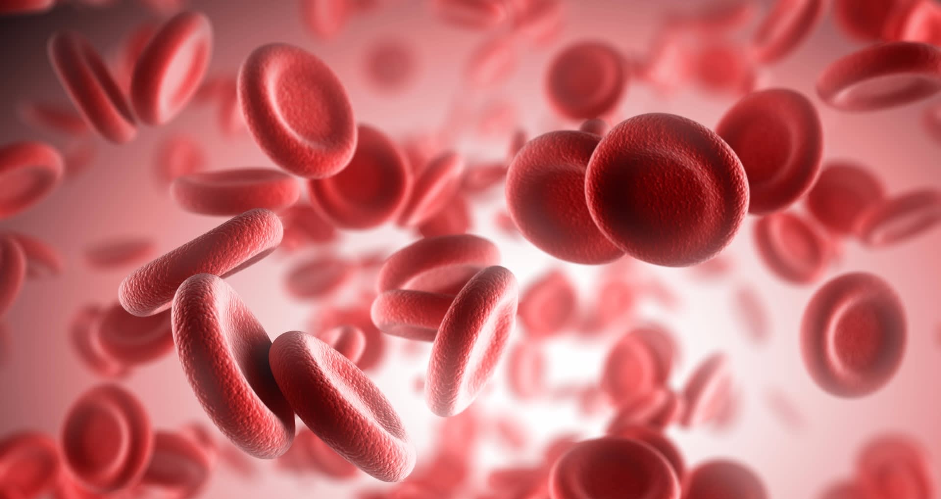 red-blood-cells-i-screen