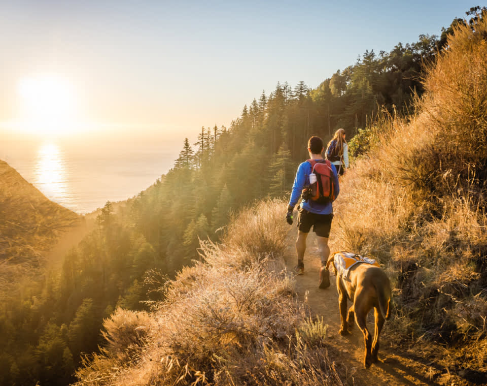 couple-walking-outdoors-small-healthily